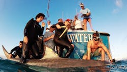 Machinedesign Com Sites Machinedesign com Files Uploads 2013 09 01 3 D Printed Shark Tag Machinedesign Com Sites Machinedesign com Files Uploads 2013 09 01 3 D Printed Shark Tag