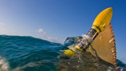 Machinedesign Com Sites Machinedesign com Files Uploads 2013 09 02 3 D Printed Shark Tag Machinedesign Com Sites Machinedesign com Files Uploads 2013 09 02 3 D Printed Shark Tag