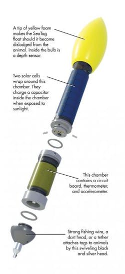 Machinedesign Com Sites Machinedesign com Files Uploads 2013 09 03 Seatag Exploded Rr Machinedesign Com Sites Machinedesign com Files Uploads 2013 09 03 Seatag Exploded Rr