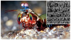 Machinedesign Com Sites Machinedesign com Files Uploads 2013 09 11411 Lf Abalone Nac3 Machinedesign Com Sites Machinedesign com Files Uploads 2013 09 11411 Lf Abalone Nac3