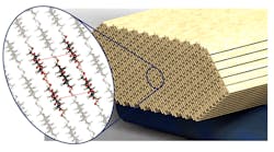 Machinedesign Com Sites Machinedesign com Files Uploads 2014 03 Purdue Nanaocellose Machinedesign Com Sites Machinedesign com Files Uploads 2014 03 Purdue Nanaocellose