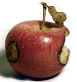 Machinedesign Com Sites Machinedesign com Files Uploads 2014 08 Rotten Silicon Valley Machinedesign Com Sites Machinedesign com Files Uploads 2014 08 Rotten Silicon Valley