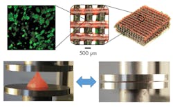 Machinedesign Com Sites Machinedesign com Files Uploads 2015 04 0815 Mit Complex Hydro 2 Machinedesign Com Sites Machinedesign com Files Uploads 2015 04 0815 Mit Complex Hydro 2