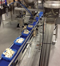 Machinedesign Com Sites Machinedesign com Files Uploads 2015 07 Sanitary 1 Machinedesign Com Sites Machinedesign com Files Uploads 2015 07 Sanitary 1