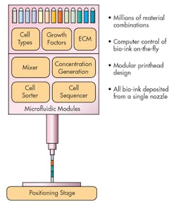 Machinedesign Com Sites Machinedesign com Files Uploads 2015 04 0815 Leah F1 Machinedesign Com Sites Machinedesign com Files Uploads 2015 04 0815 Leah F1