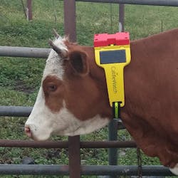 Machinedesign Com Sites Machinedesign com Files Uploads 2015 03 Cattle Watch Machinedesign Com Sites Machinedesign com Files Uploads 2015 03 Cattle Watch