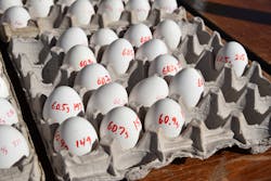 Machinedesign Com Sites Machinedesign com Files Uploads 2015 12 Eggs Machinedesign Com Sites Machinedesign com Files Uploads 2015 12 Eggs