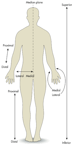 Machinedesign Com Sites Machinedesign com Files Uploads 2016 02 Male Sillo 0 Machinedesign Com Sites Machinedesign com Files Uploads 2016 02 Male Sillo 0