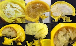 Machinedesign Com Sites Machinedesign com Files Uploads 2016 10 12 Image 6 3 D Printed Brains Machinedesign Com Sites Machinedesign com Files Uploads 2016 10 12 Image 6 3 D Printed Brains