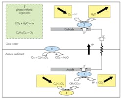 Www Machinedesign Com Sites Machinedesign com Files Microbial Www Machinedesign Com Sites Machinedesign com Files Microbial