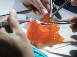 Www Machinedesign Com Sites Machinedesign com Files 3 D Bio Mimics Www Machinedesign Com Sites Machinedesign com Files 3 D Bio Mimics