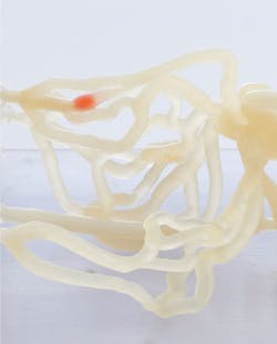 Www Machinedesign Com Sites Machinedesign com Files Bio Mimic 0 Www Machinedesign Com Sites Machinedesign com Files Bio Mimic 0