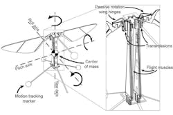 Www Machinedesign Com Sites Machinedesign com Files Image 1 Robo Bee Design Www Machinedesign Com Sites Machinedesign com Files Image 1 Robo Bee Design
