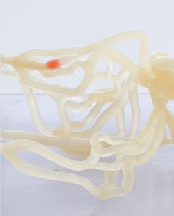 Www Machinedesign Com Sites Machinedesign com Files Bio 0 Www Machinedesign Com Sites Machinedesign com Files Bio 0