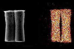 Www Machinedesign Com Sites Machinedesign com Files Micromotors X Ray 0 Www Machinedesign Com Sites Machinedesign com Files Micromotors X Ray 0