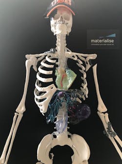 Www Machinedesign Com Sites Machinedesign com Files Skeleton 1 Www Machinedesign Com Sites Machinedesign com Files Skeleton 1