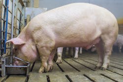 Www Machinedesign Com Sites Machinedesign com Files Toggle Valve 2 0 Www Machinedesign Com Sites Machinedesign com Files Toggle Valve 2 0