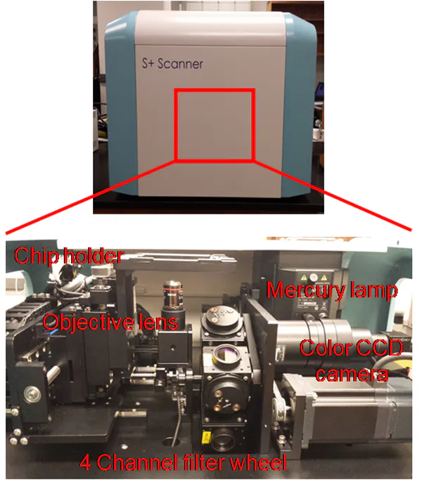 3D Printing Human Tissue Replicas | Machine Design