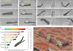 Www Machinedesign Com Sites Machinedesign com Files Drug Delivery Depiction Www Machinedesign Com Sites Machinedesign com Files Drug Delivery Depiction