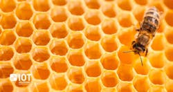 Www Machinedesign Com Sites Machinedesign com Files Bees Www Machinedesign Com Sites Machinedesign com Files Bees