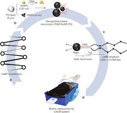 Www Machinedesign Com Sites Machinedesign com Files Hiv Detection Process 0 Www Machinedesign Com Sites Machinedesign com Files Hiv Detection Process 0