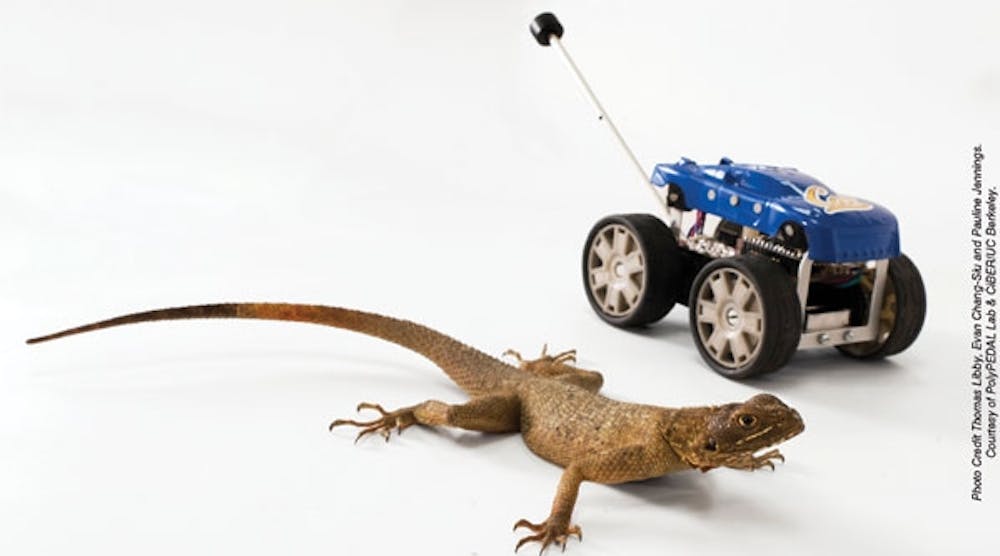 Machinedesign 1495 Fig01 Lizard And Bot 0 0