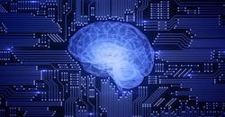 Brain Brain