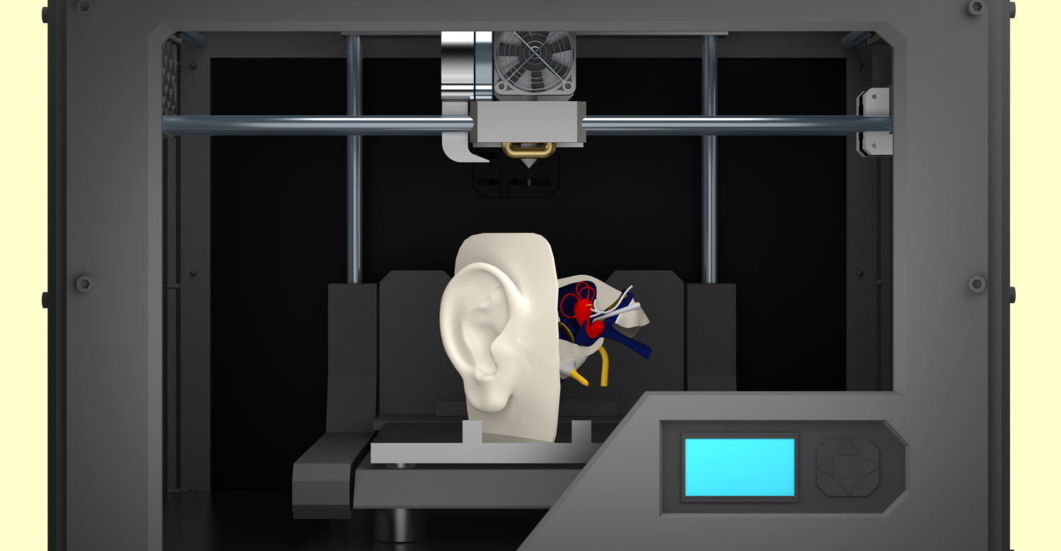 3D printer and ear