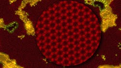 Spacing between Graphene Quantum Dots changes as a bacterial spore shrinks and expands in response to a controlled humidity The dot spacing affects the cytobot39s conductivity which is measured as the sensory output Spacing between Graphene Quantum Dots changes as a bacterial spore shrinks and expands in response to a controlled humidity The dot spacing affects the cytobot39s conductivity which is measured as the sensory output