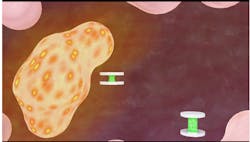 Magnetic disks move closer together as the center hydrogel shrinks in the presence of a lower pH Magnetic disks move closer together as the center hydrogel shrinks in the presence of a lower pH