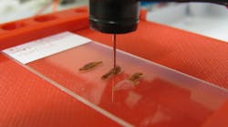 Using mass spectrometry a surface probe designed and built at Oak Ridge National Laboratory quickly analyzes a biopsy sample to see if it is from a cancerous tissue sample Using mass spectrometry a surface probe designed and built at Oak Ridge National Laboratory quickly analyzes a biopsy sample to see if it is from a cancerous tissue sample