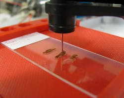 Using mass spectrometry a surface probe designed and built at Oak Ridge National Laboratory quickly analyzes a biopsy sample to see if it is from a cancerous tissue sample Using mass spectrometry a surface probe designed and built at Oak Ridge National Laboratory quickly analyzes a biopsy sample to see if it is from a cancerous tissue sample