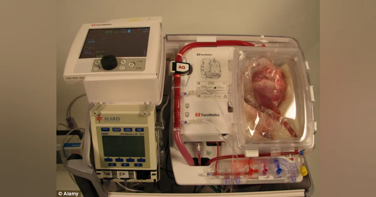 Device Keeps Transplantable Hearts Healthy During Transport | Machine ...