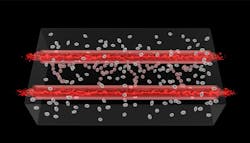 As blood is run through the artificial lumen laid down in the cell matrix growth factors trigger endothelial stem cells shown in red to differentiate into vascular endothelial cells generating capillaries for perfusion to all cells within the tissue As blood is run through the artificial lumen laid down in the cell matrix growth factors trigger endothelial stem cells shown in red to differentiate into vascular endothelial cells generating capillaries for perfusion to all cells within the tissue
