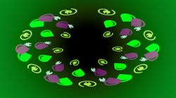 1216mdwebhydvelecpromo.jpg 1216mdwebhydvelecpromo.jpg