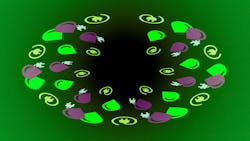 1216mdwebhydvelecpromo.jpg 1216mdwebhydvelecpromo.jpg