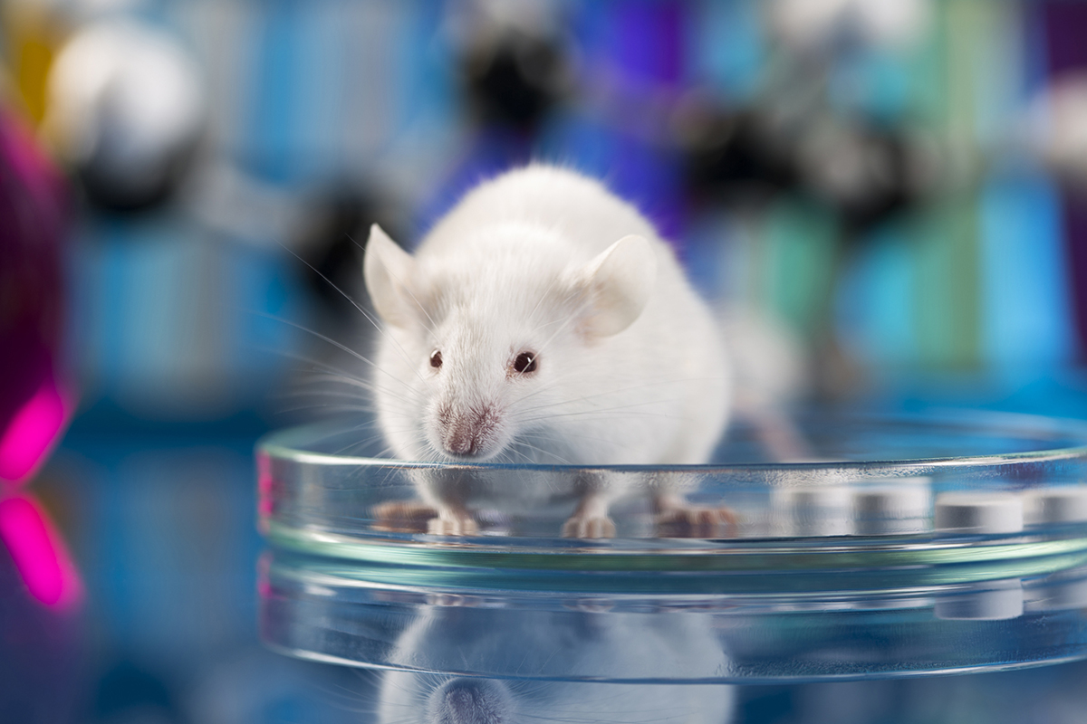 9 Myths about Animal Experimentation for Biomedical Research Machine Design