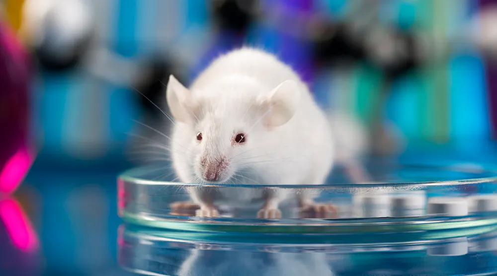 9 Myths about Animal Experimentation for Biomedical Research | Machine ...