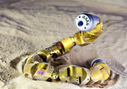 Biorobots Snake Robot Biorobots Snake Robot