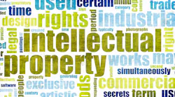 Intellectual Property-100706581