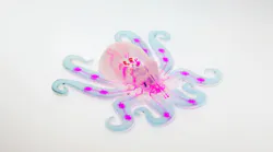 Expanding the Robot Brain with Material Robotics