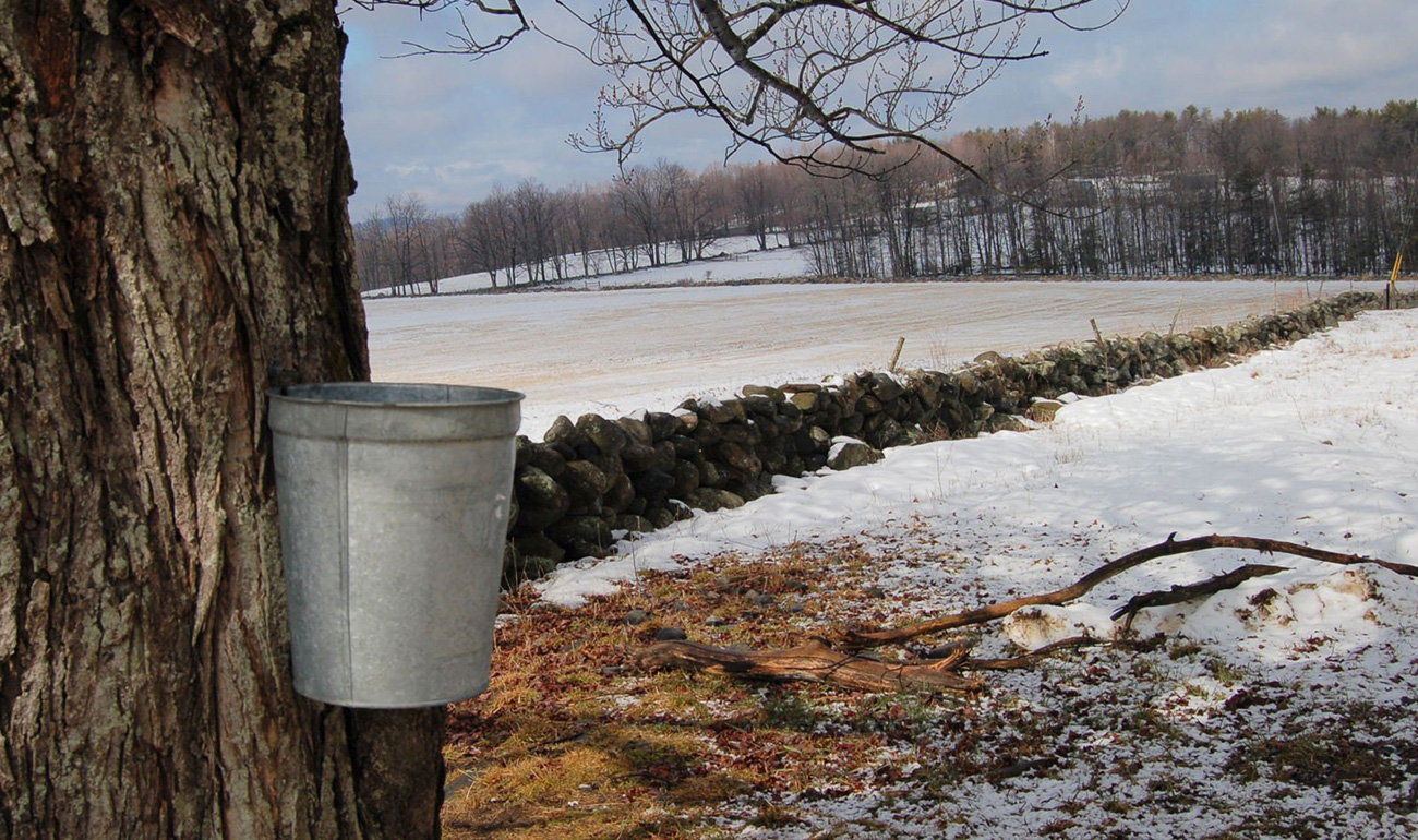 The Vermont Tech and Taps Tour&mdash;Final Edition