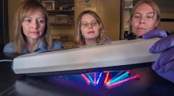 Sandia National Laboratories researchers Lauren Rohwer, left, Dorina Sava Gallis, center, and Kim Butler have designed and synthesized metal-organic framework nanoparticles that glow red or near infrared for at least two days in cells. They can also be tuned to emit a variety of colors. This could prove useful in tracking the spread of cancer cells.