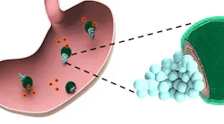 Micromotors in the Stomach