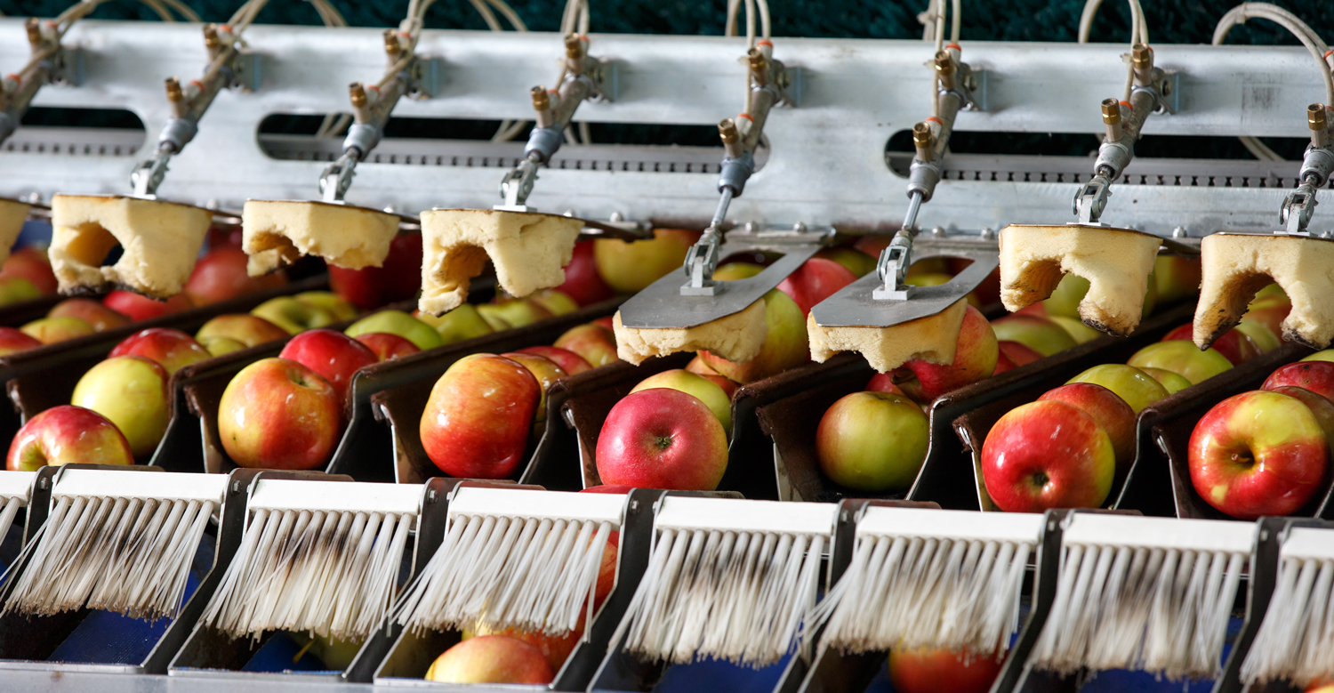 Automation and Manufacturing Innovations for the Food Industry
