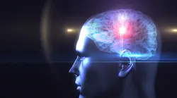 Brain