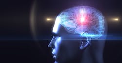 Brain Brain