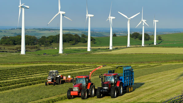 Windmill farm