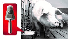 The Specialty Mfg. Co.’s custom-designed stainless steel watering toggle valve ensures proper water flow to the pigs, at the same time saving water for Christensen Farms. The Specialty Mfg. Co.’s custom-designed stainless steel watering toggle valve ensures proper water flow to the pigs, at the same time saving water for Christensen Farms.