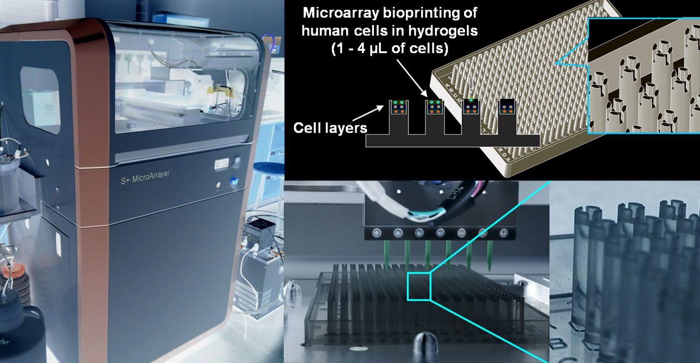 3D Printing Human Tissue_Promo Image.jpg